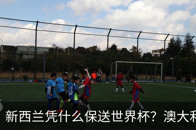 新西兰凭什么保送世界杯？澳大利亚凭什么还留亚洲？